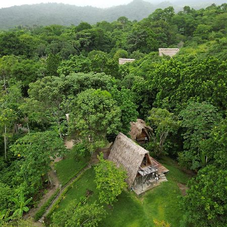 Tiny Houses Unique Tayrona - Dentro Del Parque Tayrona エル・ザイノ エクステリア 写真
