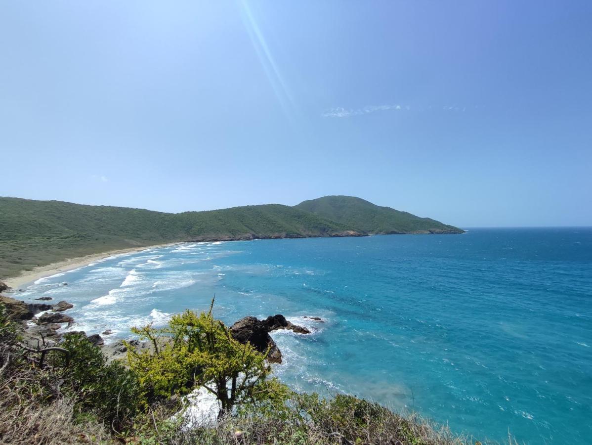 Tiny Houses Unique Tayrona - Dentro Del Parque Tayrona エル・ザイノ エクステリア 写真