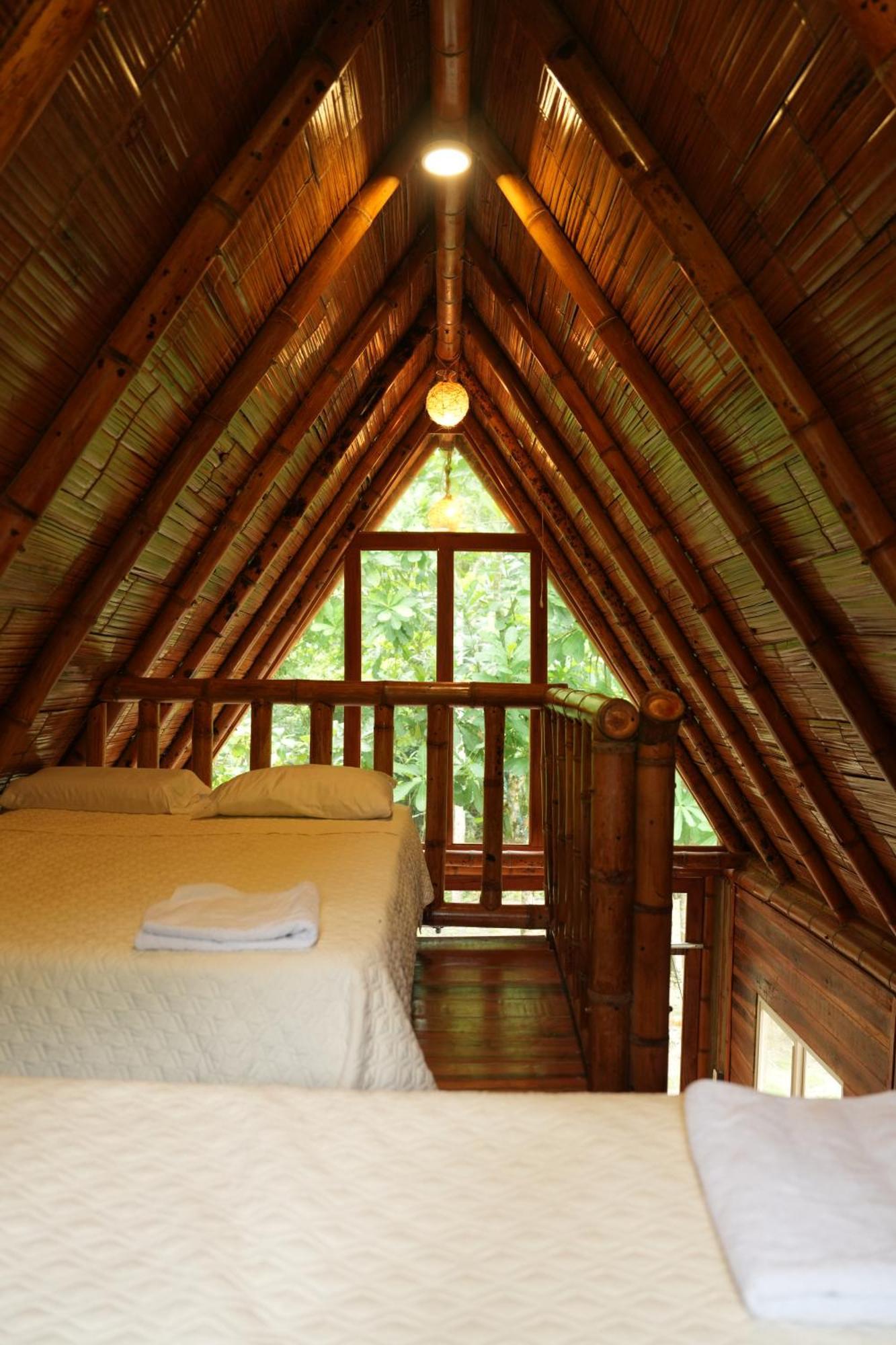 Tiny Houses Unique Tayrona - Dentro Del Parque Tayrona エル・ザイノ エクステリア 写真