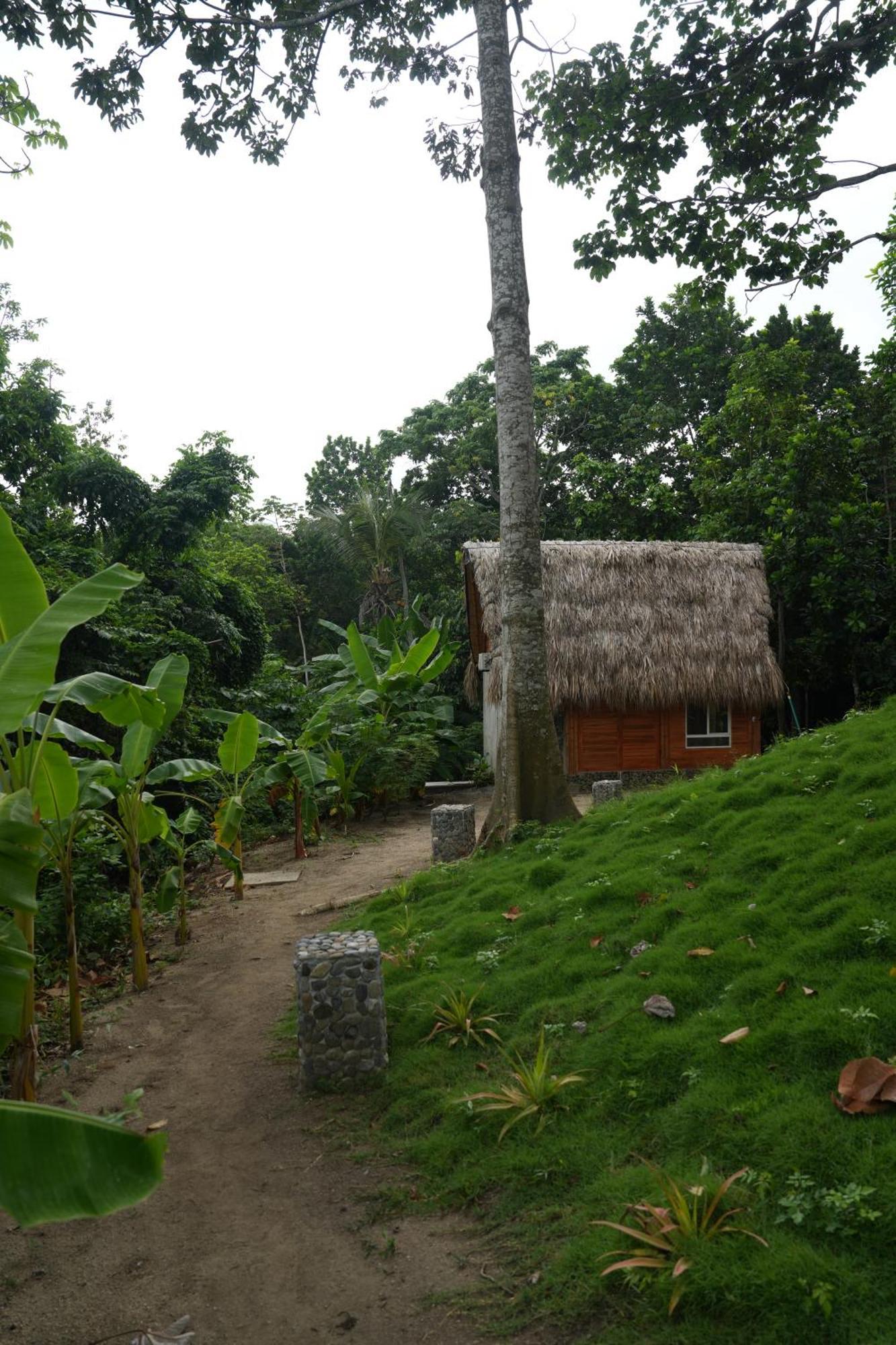 Tiny Houses Unique Tayrona - Dentro Del Parque Tayrona エル・ザイノ エクステリア 写真