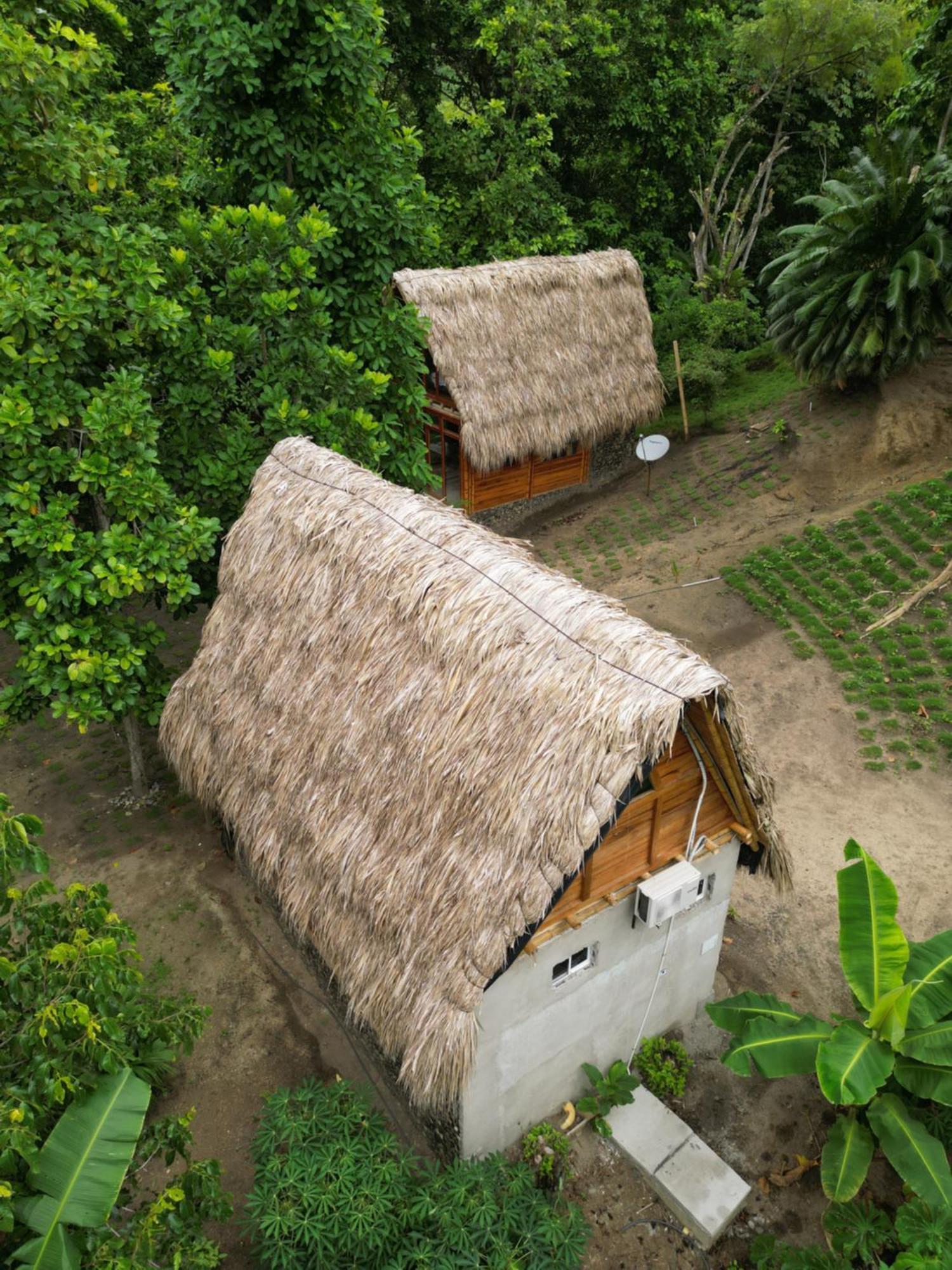 Tiny Houses Unique Tayrona - Dentro Del Parque Tayrona エル・ザイノ エクステリア 写真
