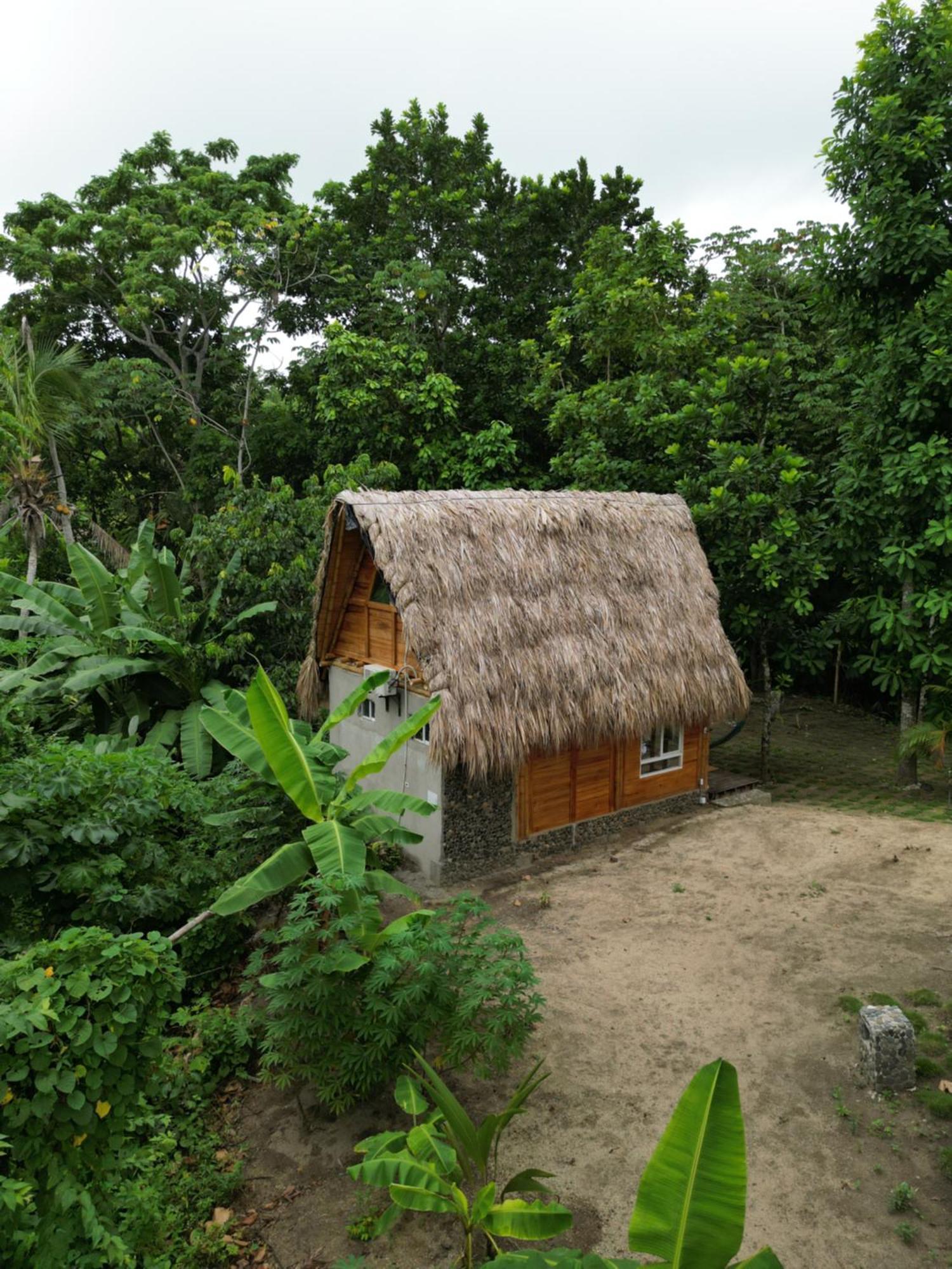 Tiny Houses Unique Tayrona - Dentro Del Parque Tayrona エル・ザイノ エクステリア 写真