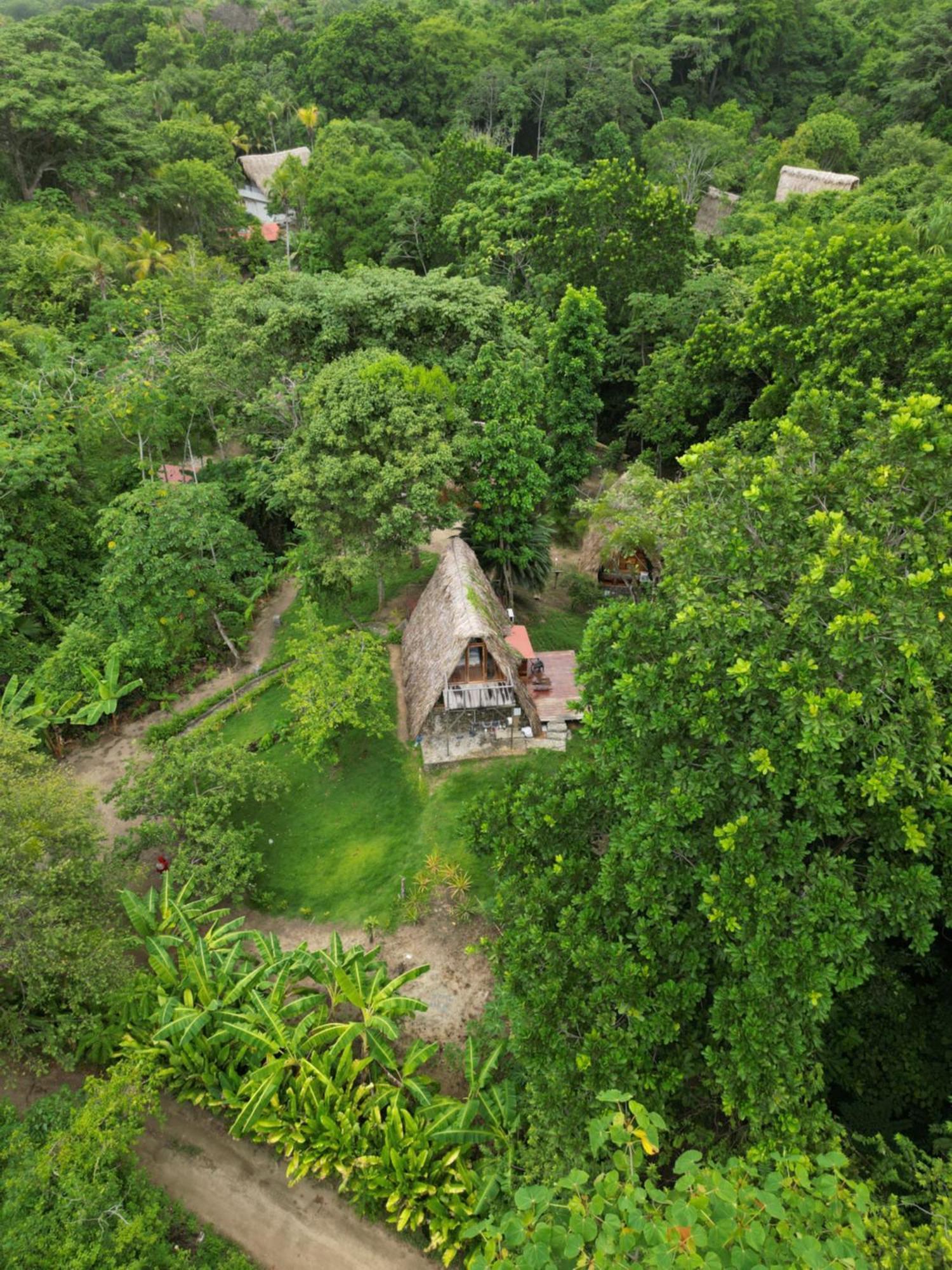 Tiny Houses Unique Tayrona - Dentro Del Parque Tayrona エル・ザイノ エクステリア 写真