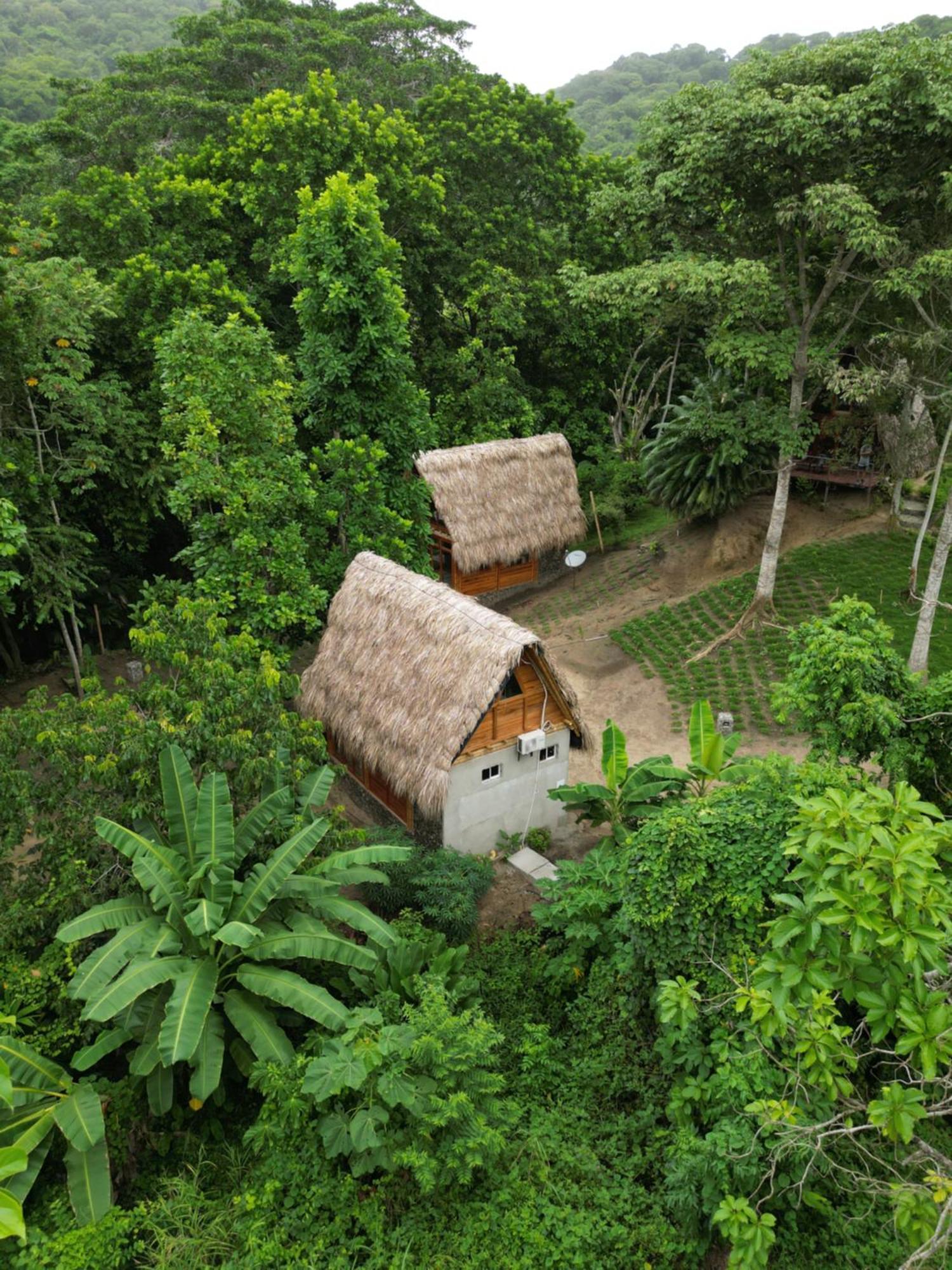 Tiny Houses Unique Tayrona - Dentro Del Parque Tayrona エル・ザイノ エクステリア 写真