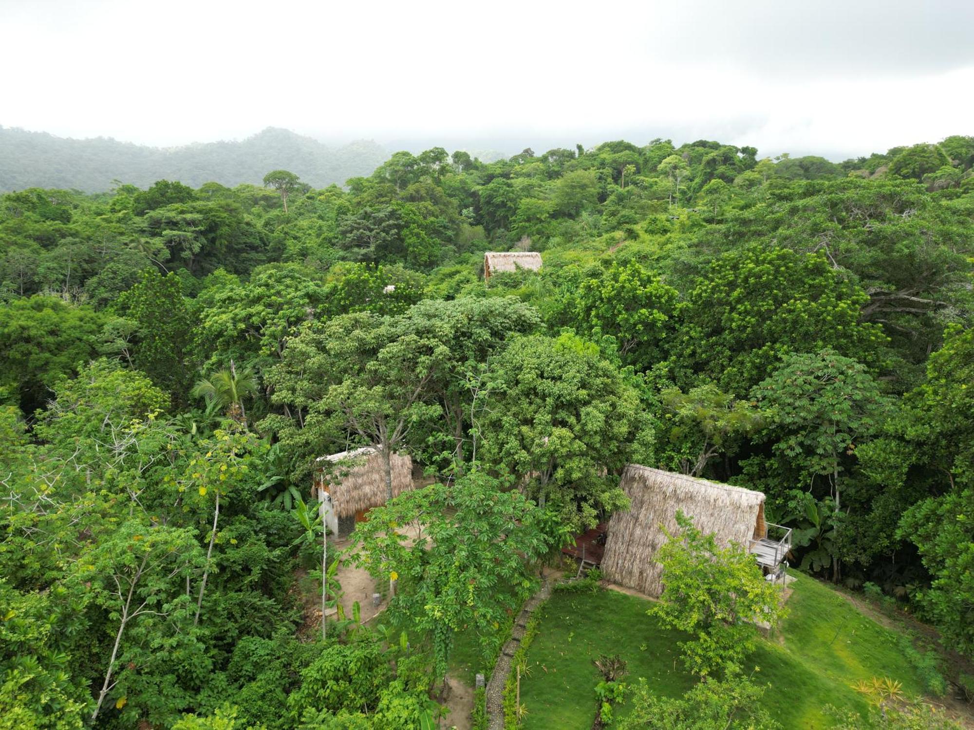 Tiny Houses Unique Tayrona - Dentro Del Parque Tayrona エル・ザイノ エクステリア 写真