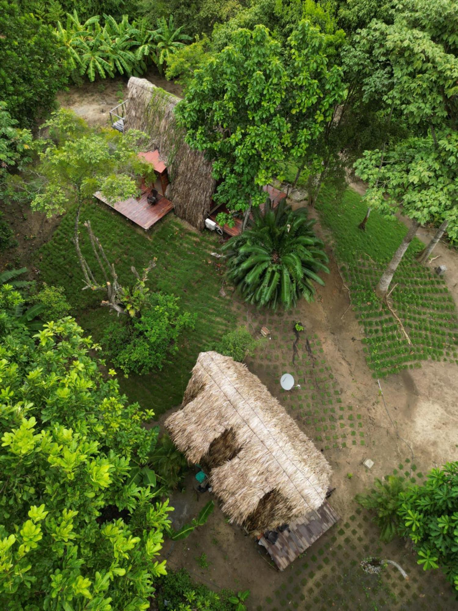 Tiny Houses Unique Tayrona - Dentro Del Parque Tayrona エル・ザイノ エクステリア 写真