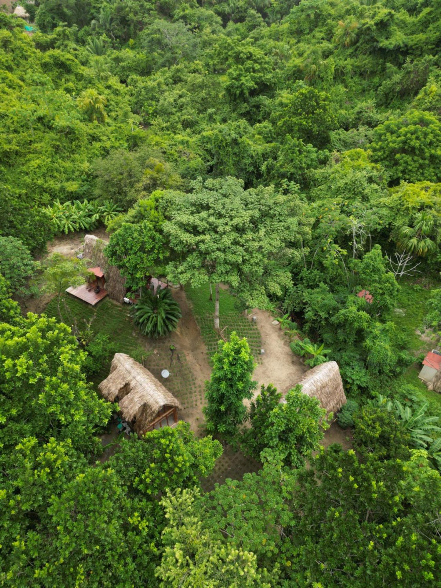 Tiny Houses Unique Tayrona - Dentro Del Parque Tayrona エル・ザイノ エクステリア 写真