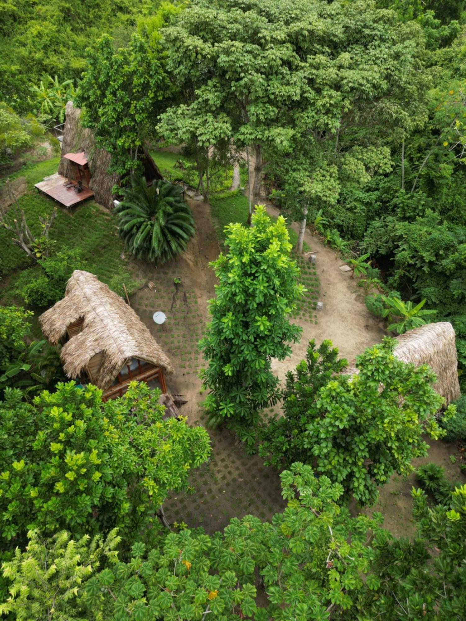 Tiny Houses Unique Tayrona - Dentro Del Parque Tayrona エル・ザイノ エクステリア 写真