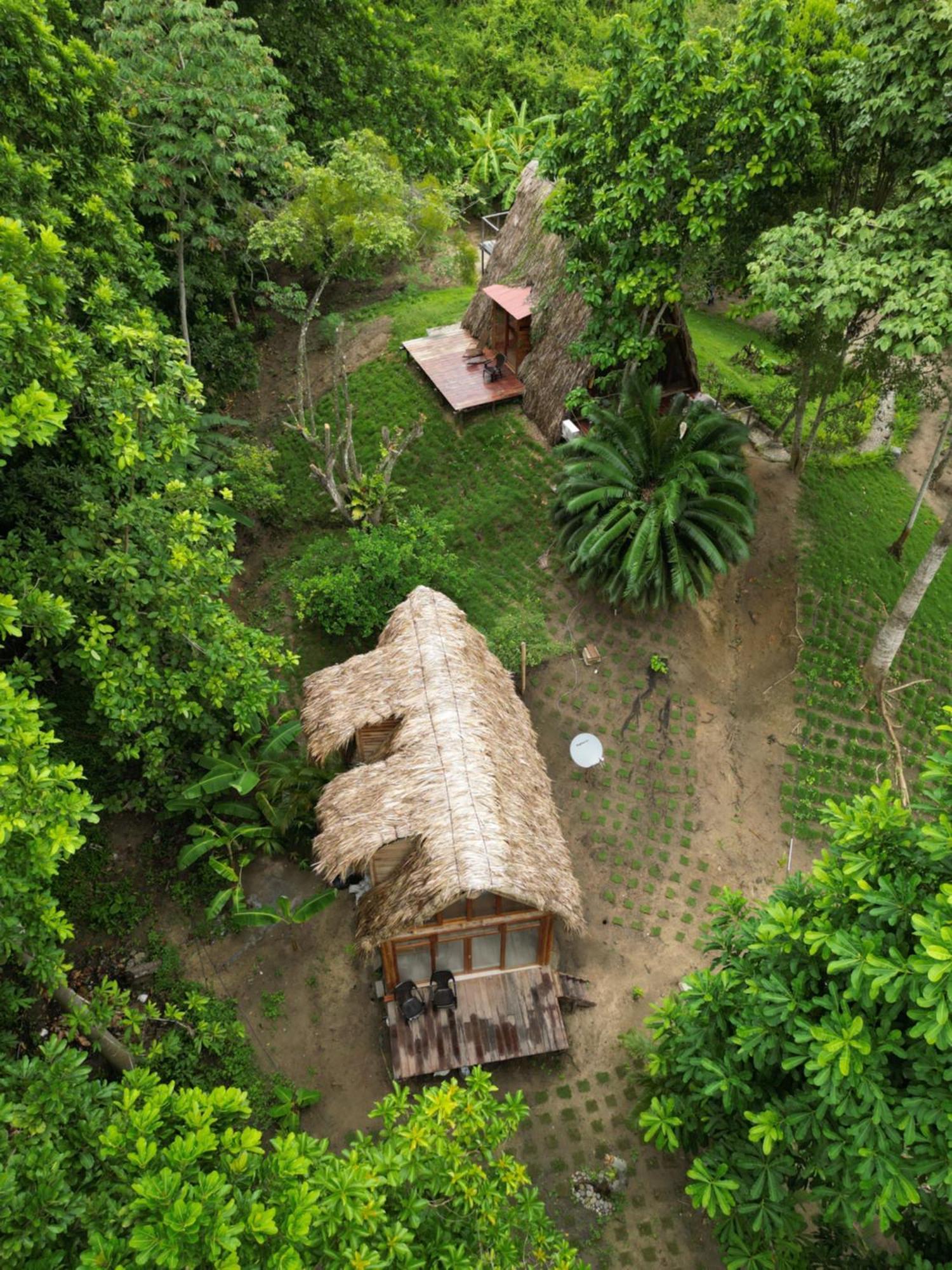 Tiny Houses Unique Tayrona - Dentro Del Parque Tayrona エル・ザイノ エクステリア 写真