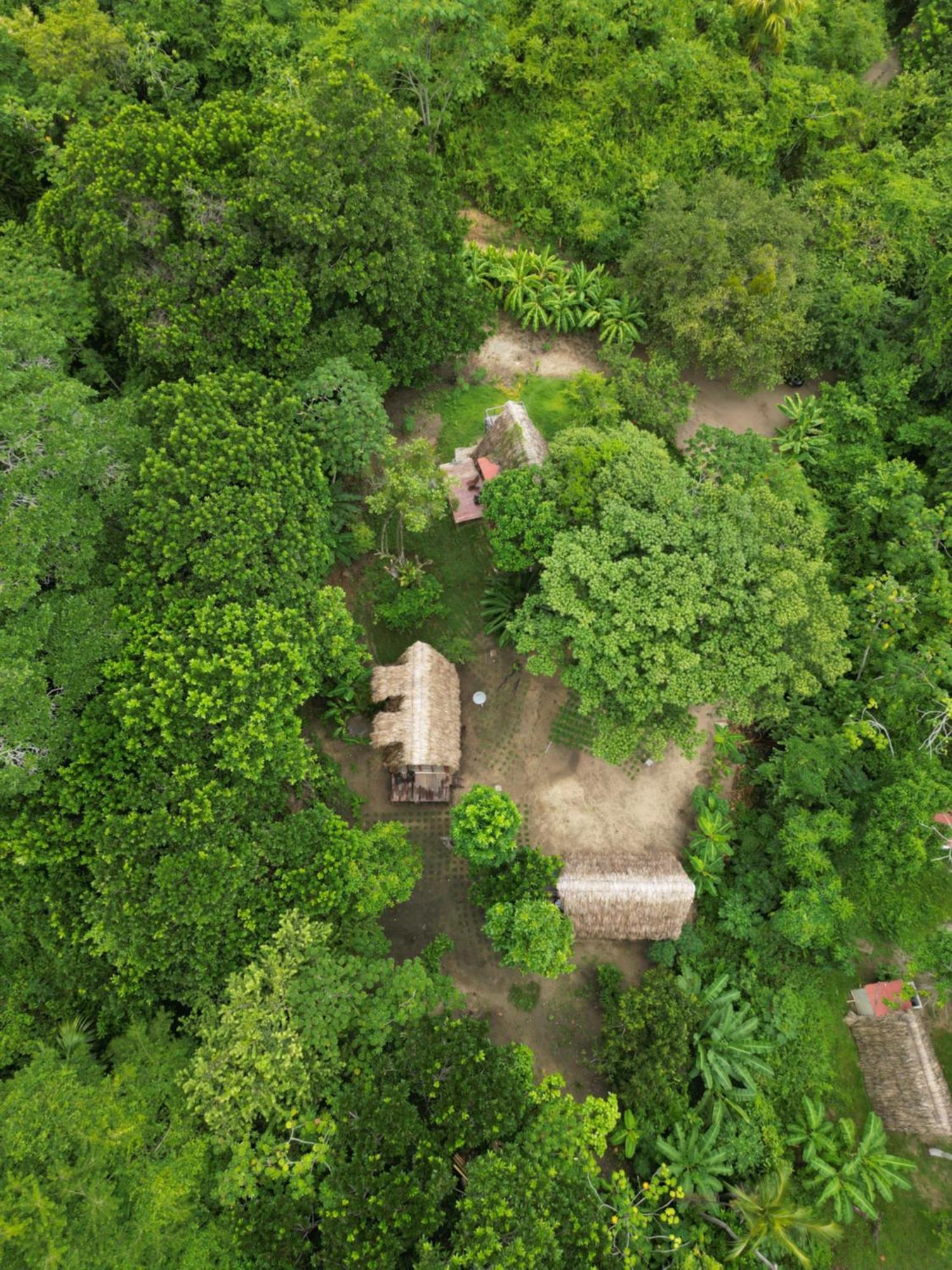 Tiny Houses Unique Tayrona - Dentro Del Parque Tayrona エル・ザイノ エクステリア 写真