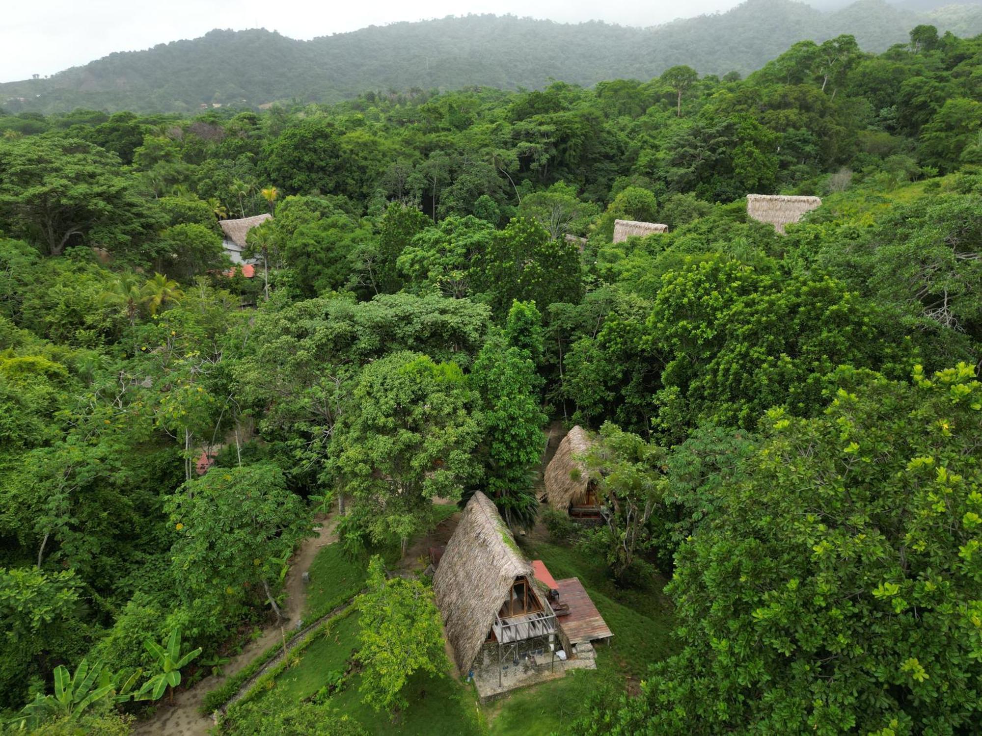 Tiny Houses Unique Tayrona - Dentro Del Parque Tayrona エル・ザイノ エクステリア 写真