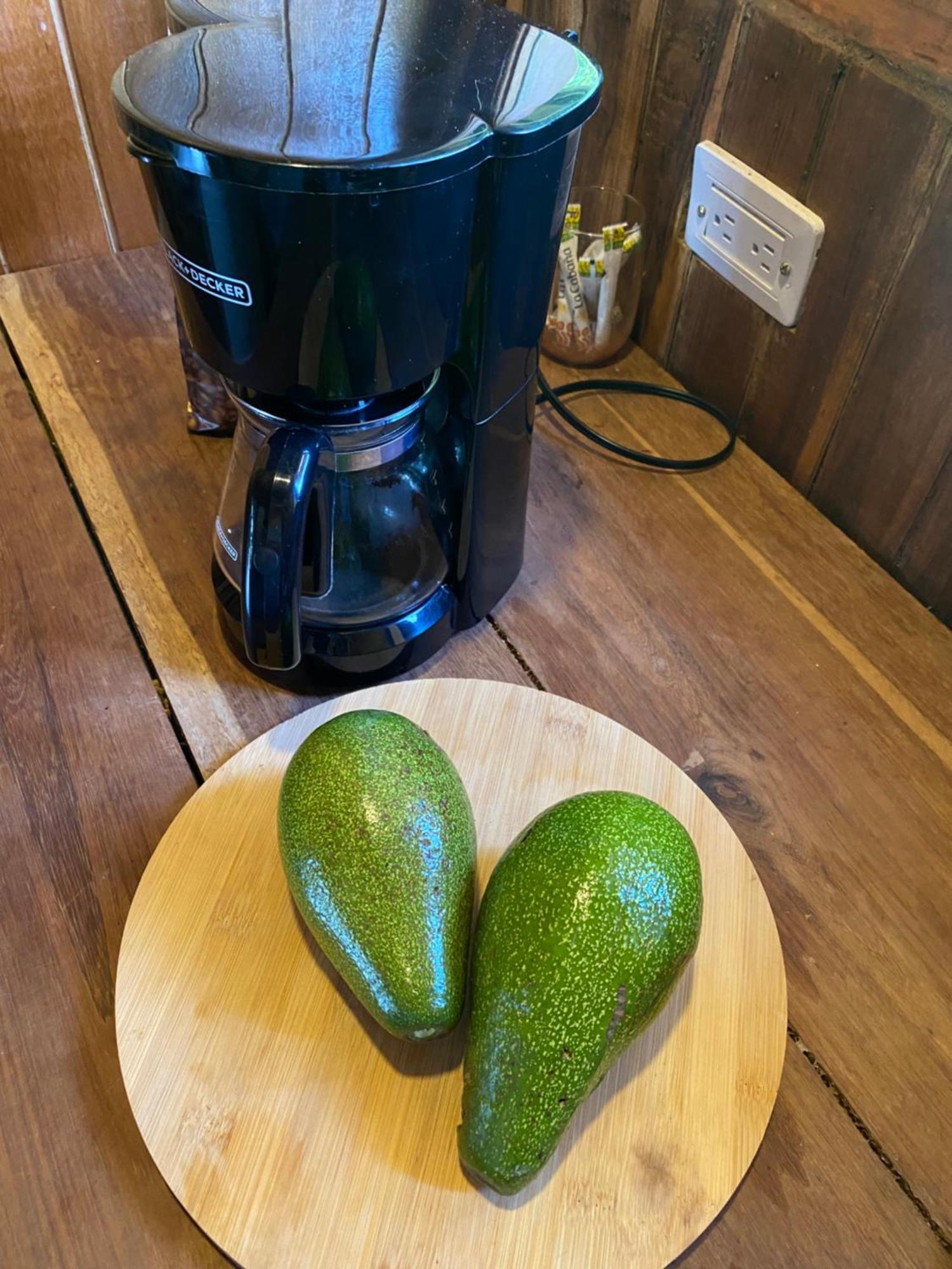 Tiny Houses Unique Tayrona - Dentro Del Parque Tayrona エル・ザイノ エクステリア 写真