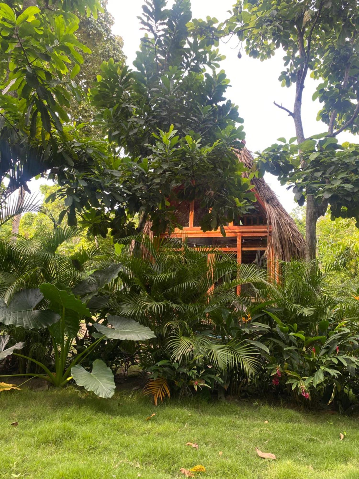 Tiny Houses Unique Tayrona - Dentro Del Parque Tayrona エル・ザイノ エクステリア 写真